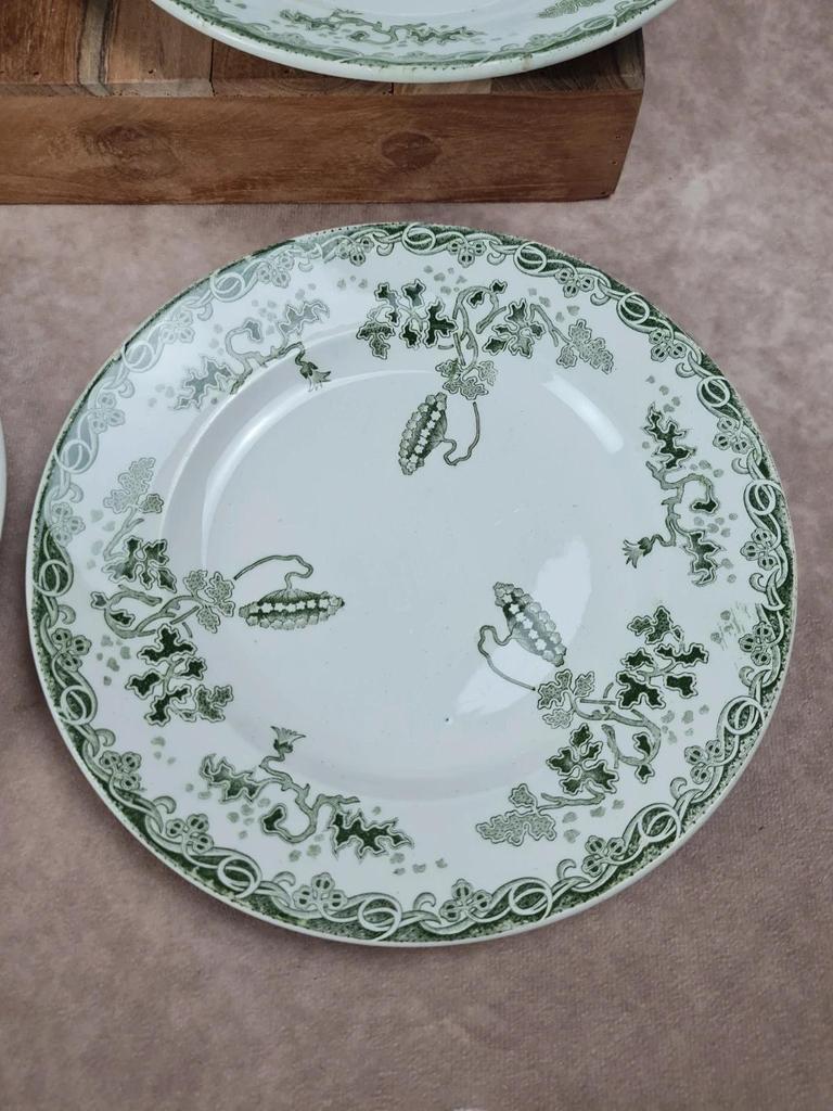 Lot de 6 assiettes Saint-amand & Hamage – Modèle Modern-style 🌿