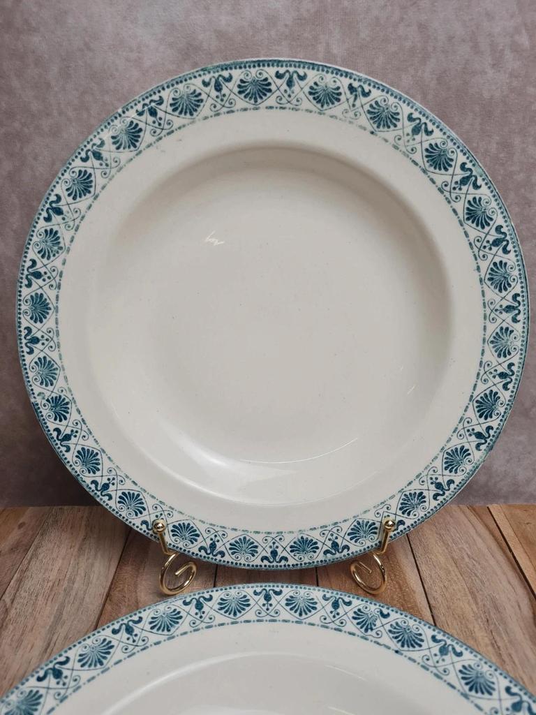 Lot de 2 assiettes creuses anciennes Terre de Fer Salins modèle Celtic 💙