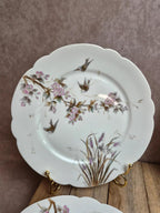 Lot de 7 assiettes anciennes en porcelaine – Décor oiseaux et fleurs polychromes