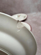 Lot de 6 assiettes creuses Sarreguemines – modèle Strasbourg – décor floral peint à la main