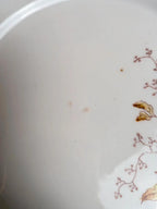 Lot de 3 assiettes anciennes en porcelaine décor floral