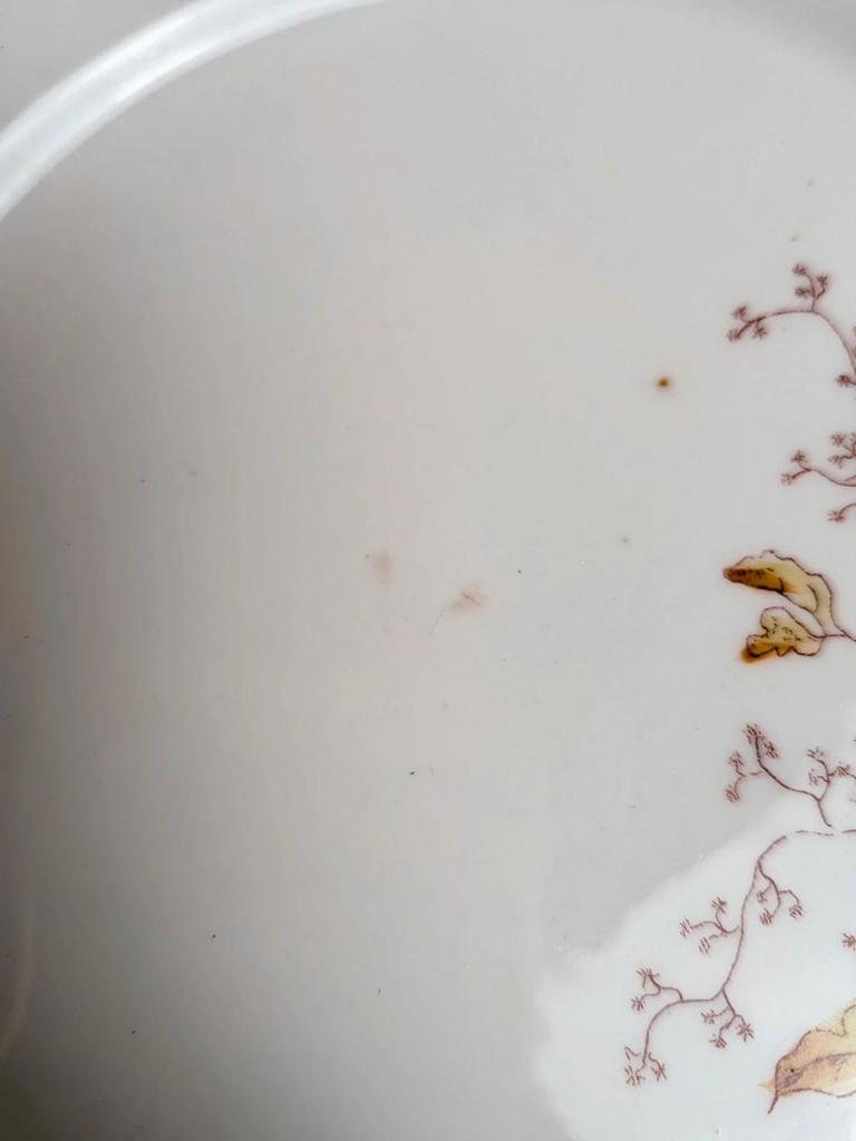 Lot de 3 assiettes anciennes en porcelaine décor floral