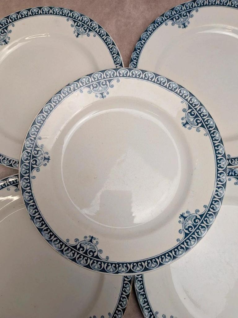 Lot de 5 assiettes plates Terre de Fer St Amand modèle Andrinople