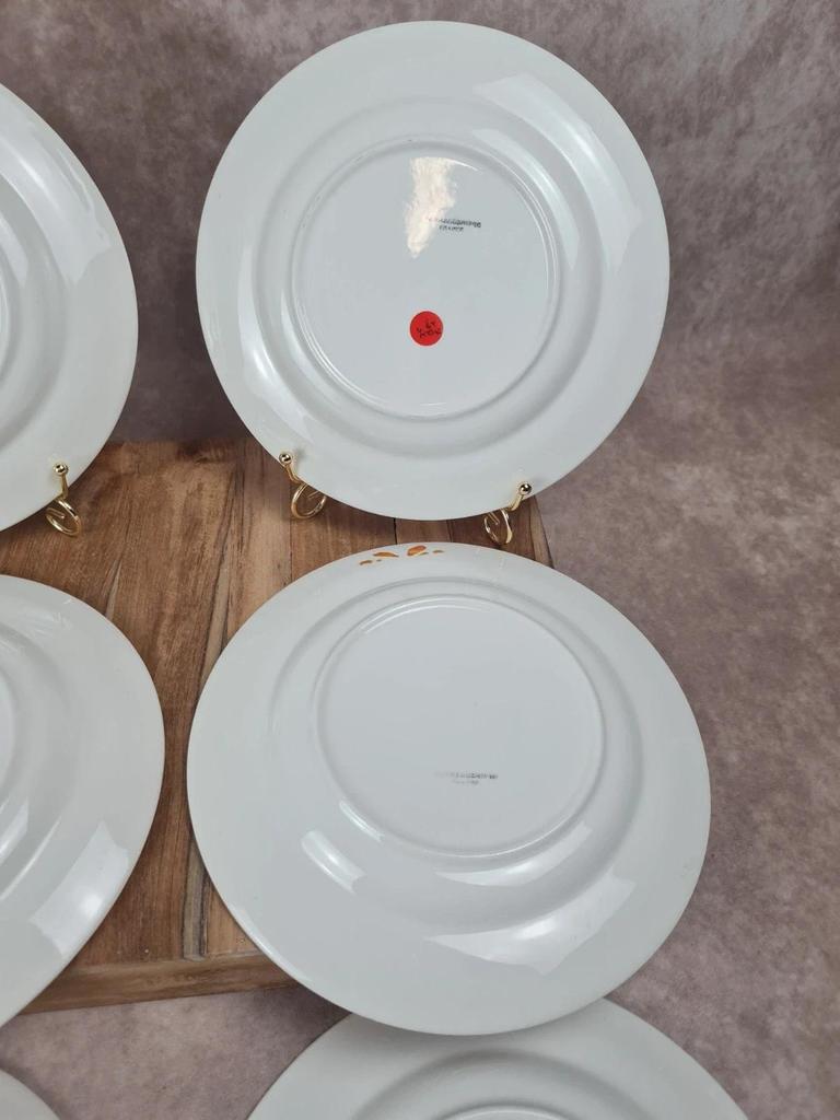 Lot de 6 assiettes semi-creuses Sarreguemines 🍊
