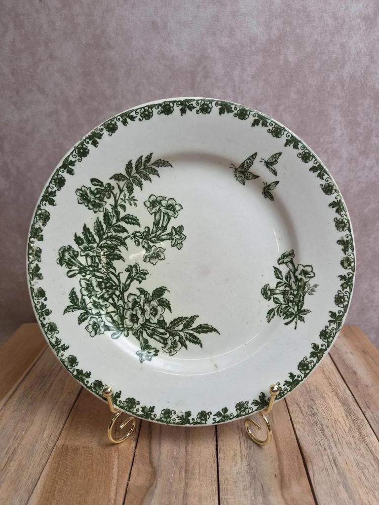 Assiette plate terre de fer Saint-amand – Modèle Denise – Décor vert