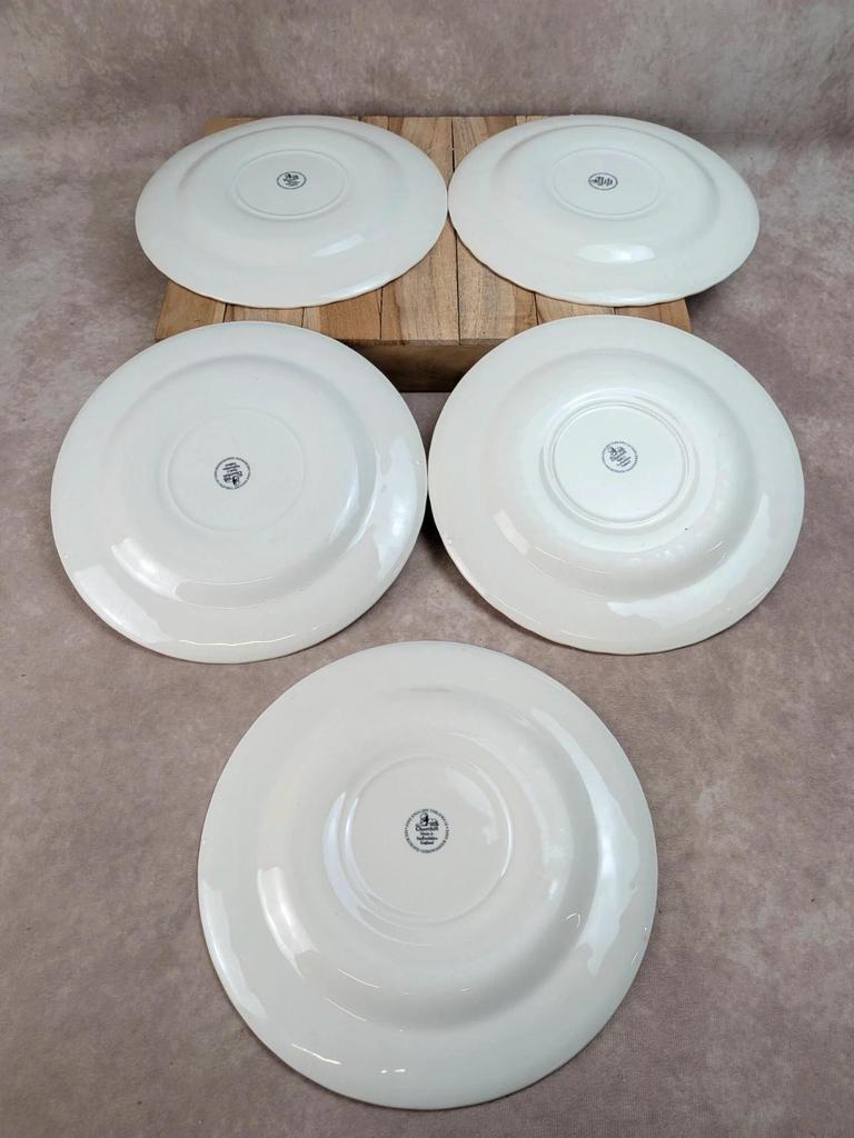 Lot de 5 assiettes plates Churchill Briar Rose – Faïence anglaise vintage
