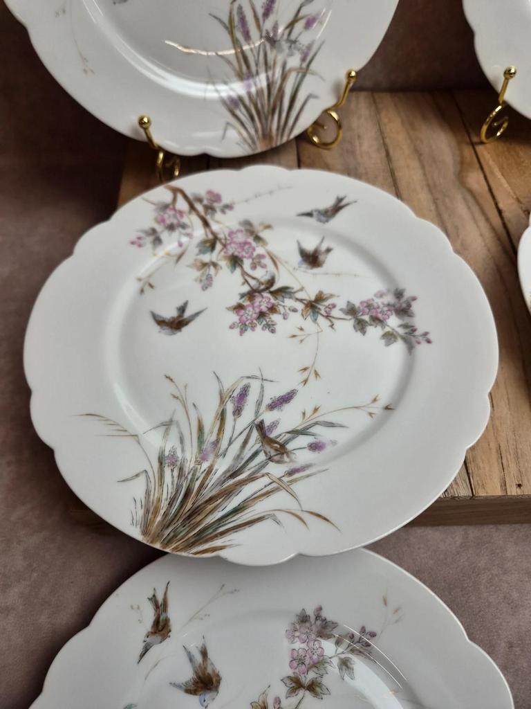 Lot de 7 assiettes anciennes en porcelaine – Décor oiseaux et fleurs polychromes
