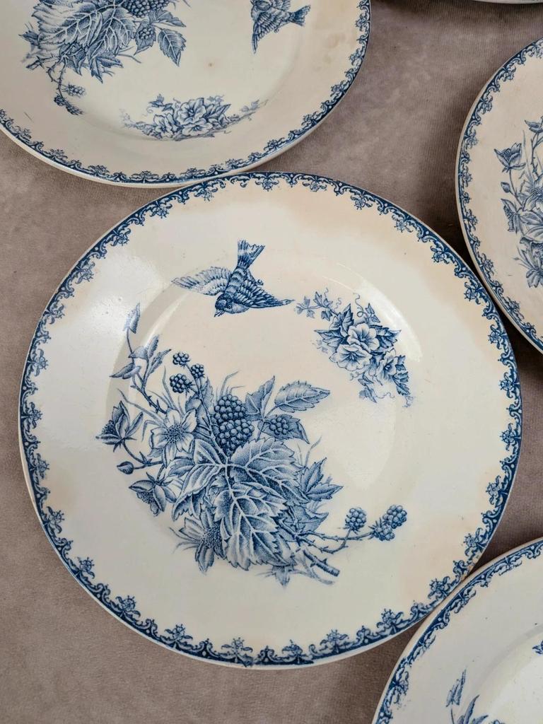 Lot de 8 assiettes Terre de Fer P.f Salvador – décor oiseaux & mûres