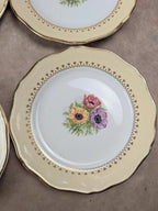 Lot de 10 assiettes à dessert L’amandinoise Coopélia vintage