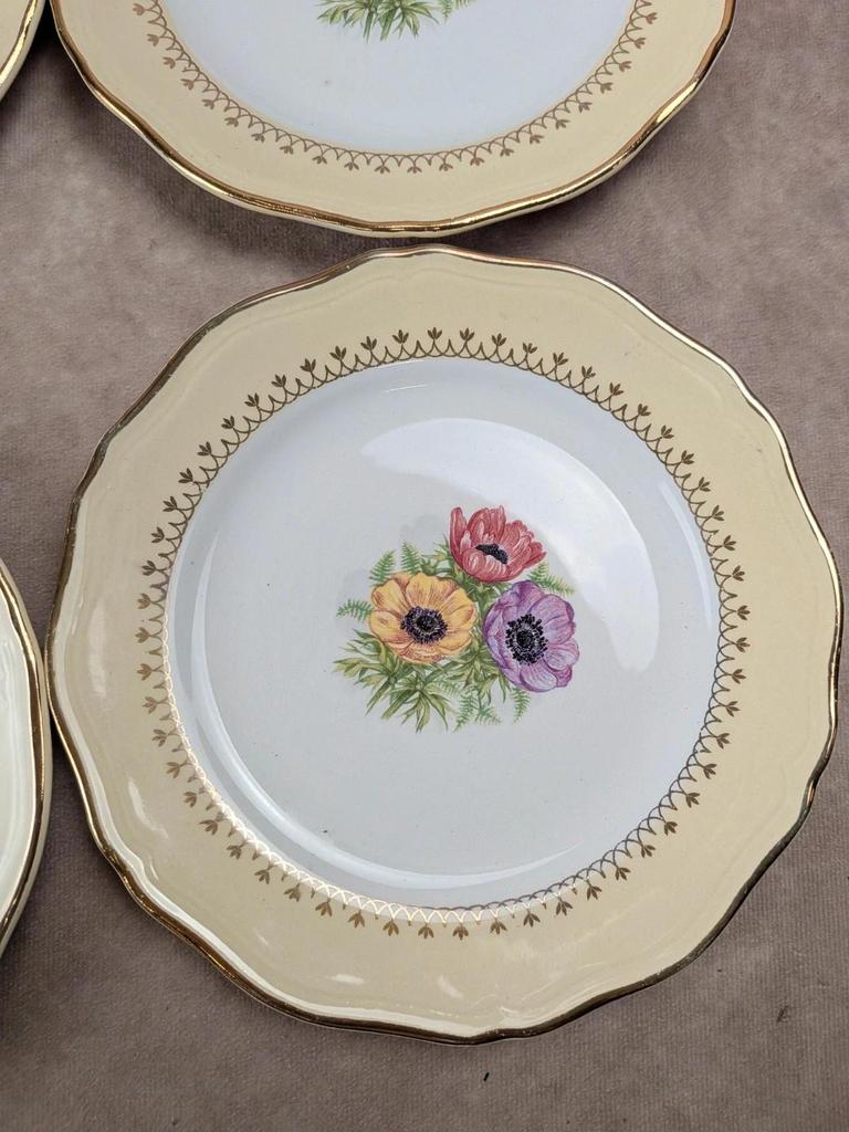Lot de 10 assiettes à dessert L’amandinoise Coopélia vintage