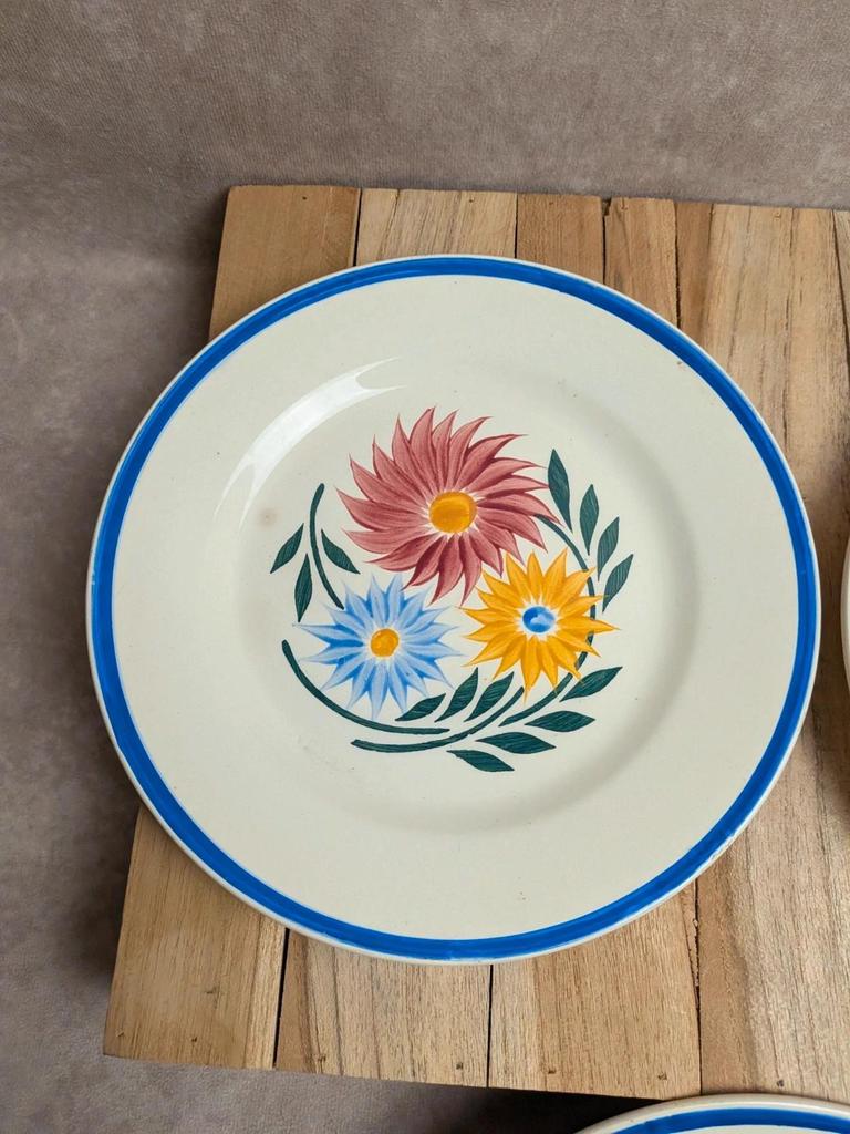 Lot de 6 assiettes en terre de fer Hbc – Modèle Rustique – Décor floral peint à la main