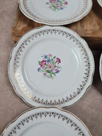 💐 Charmant service à gâteau Digoin & Sarreguemines, Modèle Lilitia, 6 assiettes + 1 grand plat