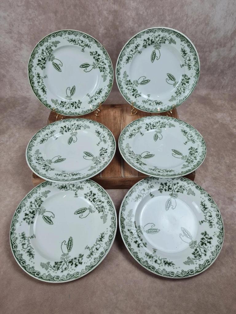 Lot de 6 assiettes Saint-amand & Hamage – Modèle Modern-style 🌿