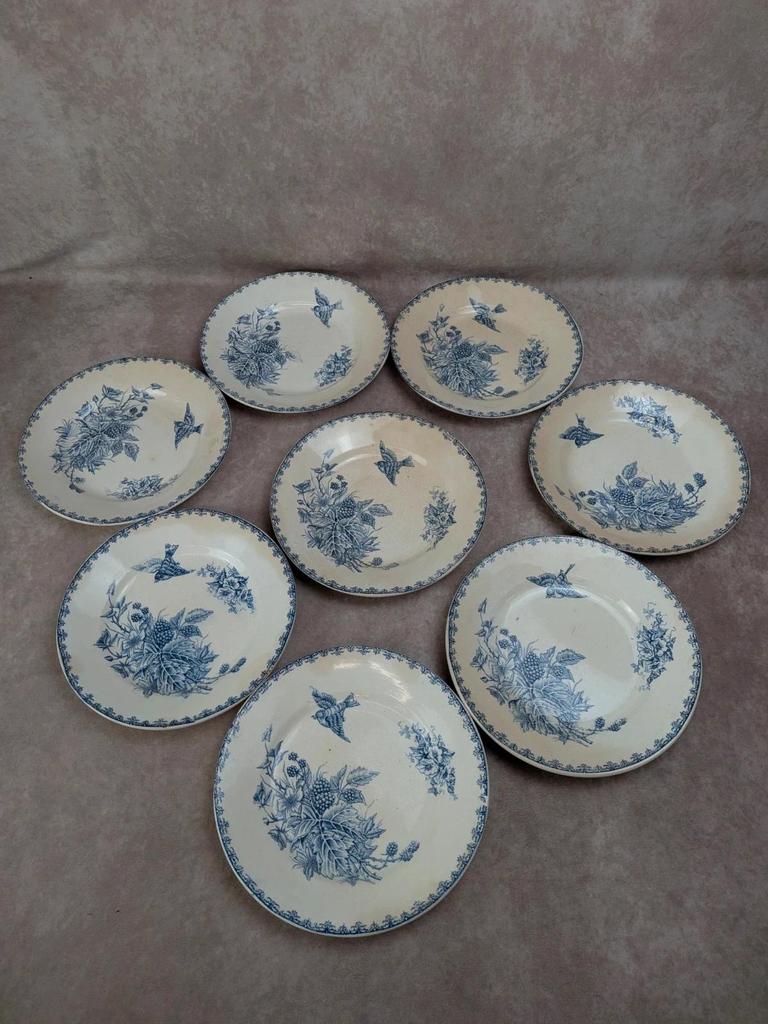 Lot de 8 assiettes Terre de Fer P.f Salvador – décor oiseaux & mûres