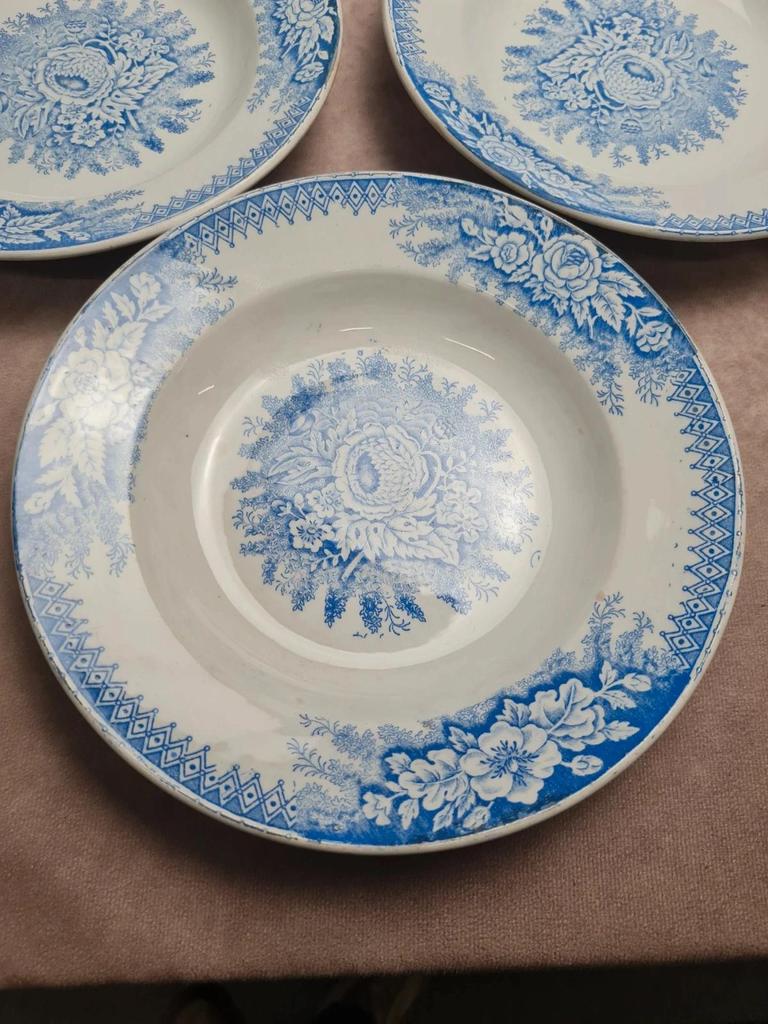 Lot de 9 assiettes creuses anciennes Saint-amand & Hamage modèle Jardinière 🌿