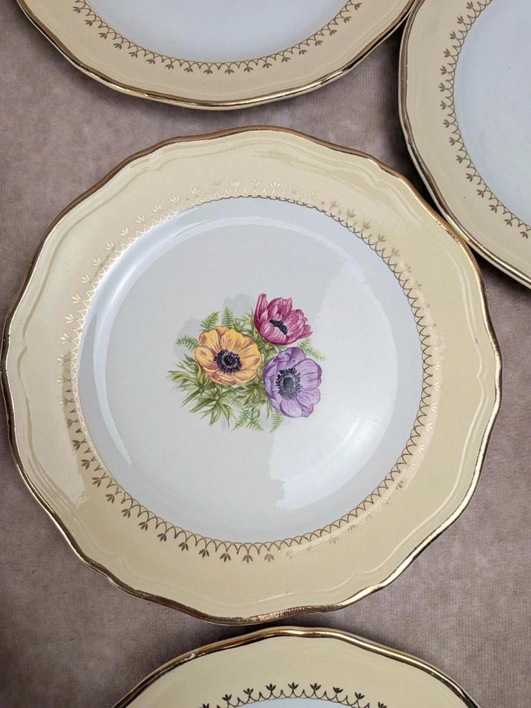 Lot de 10 assiettes à dessert L’amandinoise Coopélia vintage