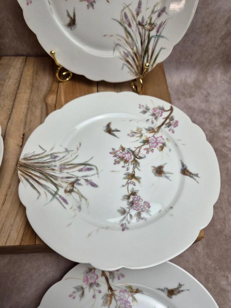 Lot de 7 assiettes anciennes en porcelaine – Décor oiseaux et fleurs polychromes