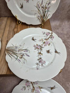 Lot de 7 assiettes anciennes en porcelaine – Décor oiseaux et fleurs polychromes