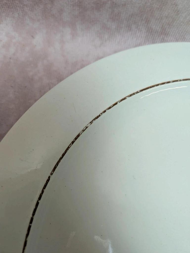 Lot de 10 assiettes plates Opaceline Salins liseré doré vintage
