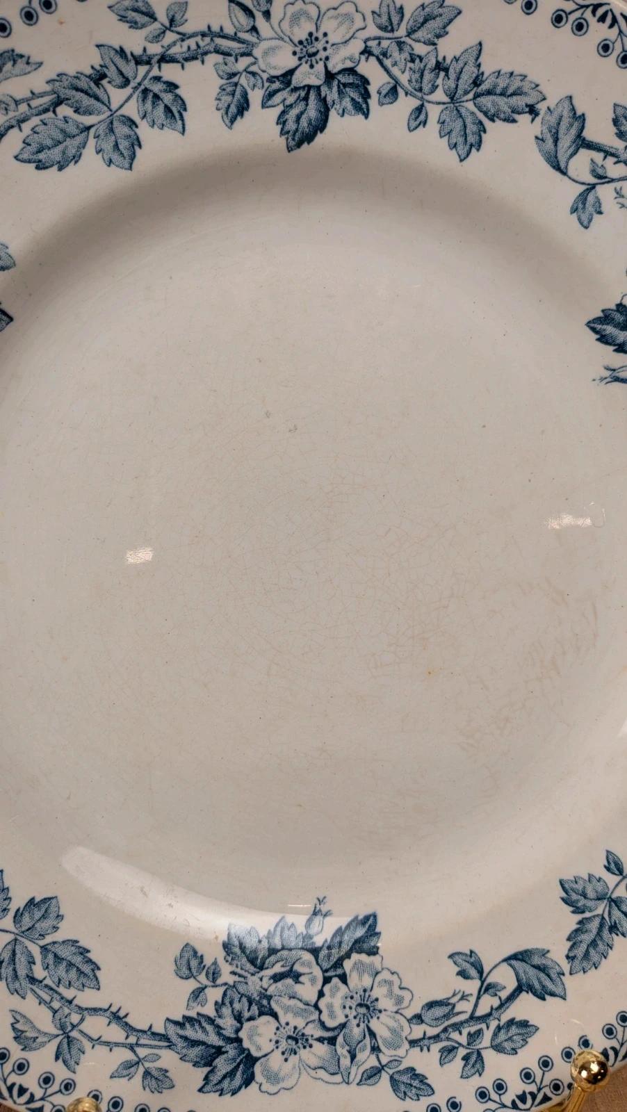 Assiette plate ancienne St-amand modèle Guadeloupe