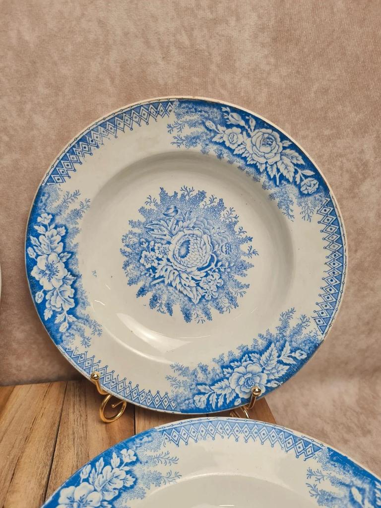 Lot de 9 assiettes creuses anciennes Saint-amand & Hamage modèle Jardinière 🌿