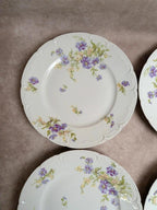 lot de 12 assiettes à dessert en porcelaine de Limoges Gda France – décor floral