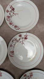 Lot de 14 assiettes plates Saint-amand modèle Marcel