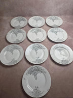 10 assiettes anciennes en porcelaine – Aux Lions de Faïence Paris – Xixe