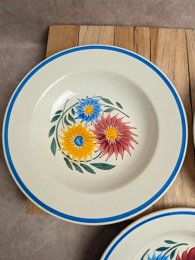 Lot de 6 assiettes en terre de fer Hbc – Modèle Rustique – Décor floral peint à la main