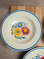 Lot de 6 assiettes en terre de fer Hbc – Modèle Rustique – Décor floral peint à la main