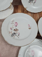 🩷 Lot de 6 assiettes en porcelaine Tognana – motif roses anciennes & liseré doré 🇮🇹