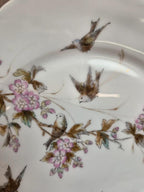 Lot de 7 assiettes anciennes en porcelaine – Décor oiseaux et fleurs polychromes