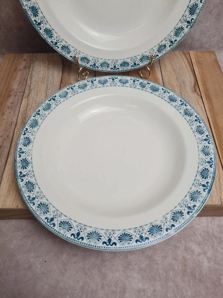 Lot de 2 assiettes creuses anciennes Terre de Fer Salins modèle Celtic 💙