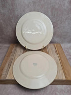Lot de 2 assiettes plates anciennes Terre de Fer Salins modèle Celtic 💙