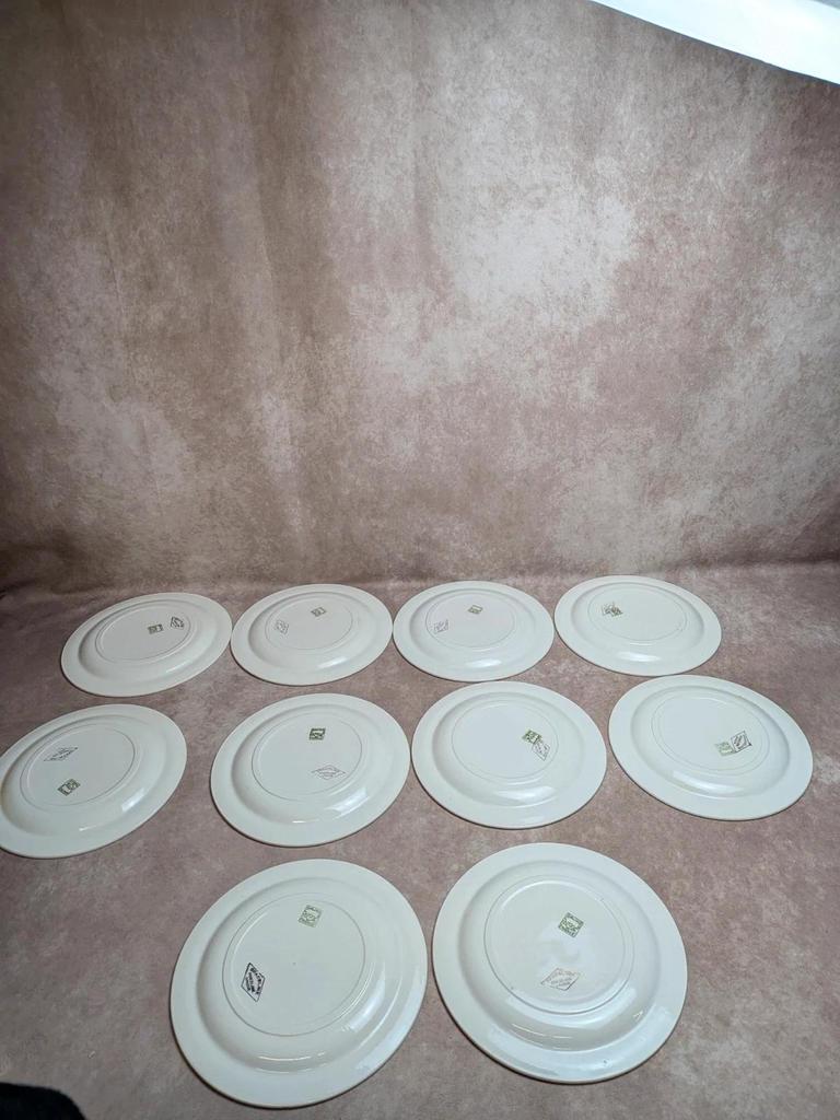 Lot de 10 assiettes plates Opaceline Salins liseré doré vintage