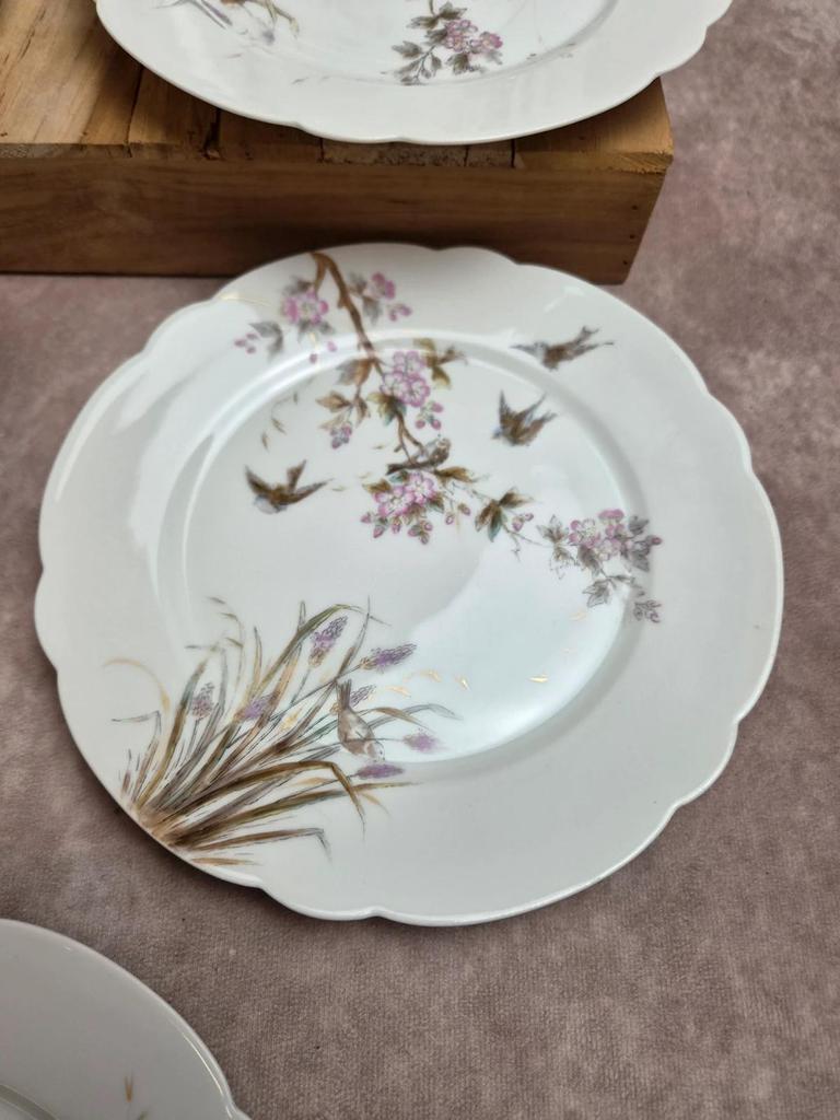 Lot de 7 assiettes anciennes en porcelaine – Décor oiseaux et fleurs polychromes