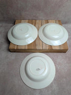 Lot de 6 assiettes en terre de fer Hbc – Modèle Rustique – Décor floral peint à la main