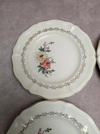 6 assiettes dessert Sarreguemines terre de fer