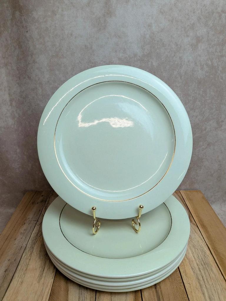 Lot de 6 assiettes plates Opaceline Salins vintage