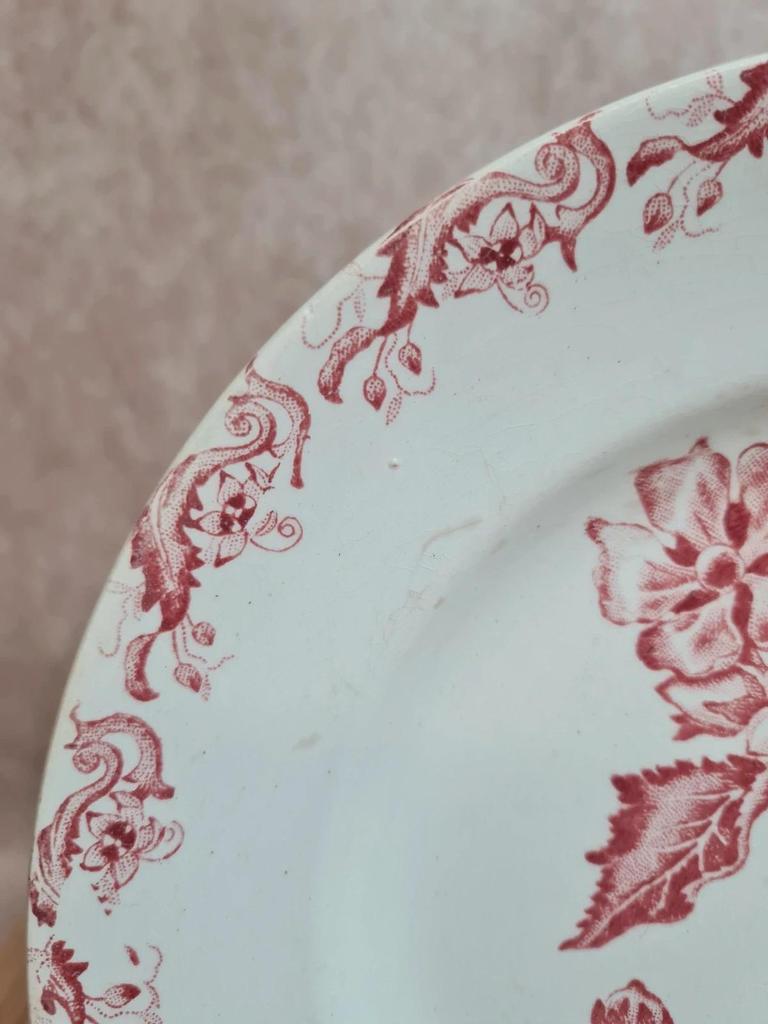 Assiette ancienne Saint-amand modèle Richelieu rouge – charme vintage 🌿