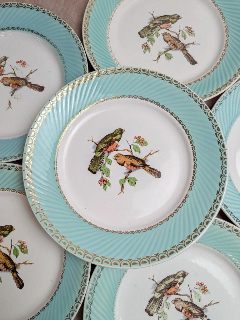 Lot de 8 assiettes plates vintage Badonviller – Décor oiseaux, vert menthe et dorure