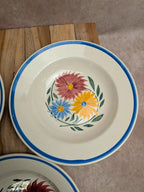 Lot de 6 assiettes en terre de fer Hbc – Modèle Rustique – Décor floral peint à la main