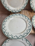 Lot de 6 assiettes plates terre de fer Gien Montigny – décor vert ancien