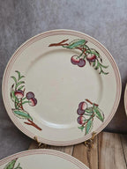 Lot de 6 assiettes plates Boch La Louvière Belgique modèle 2460 décor cerises polychrome