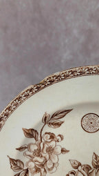 Assiette plate ancienne Terre de Fer – modèle Marguerite