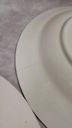 Lot 9 assiettes plates Longchamp Terre de Fer modèle Cannes