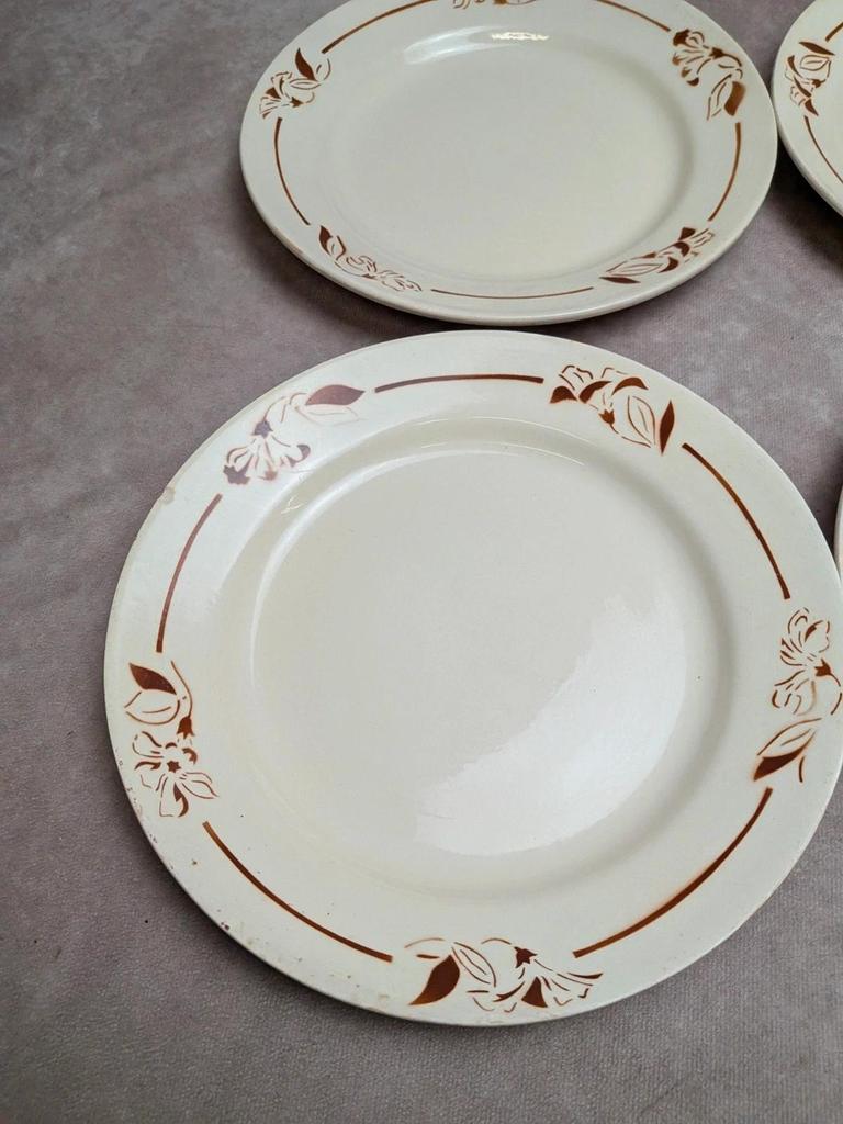 Lot de 6 assiettes terre de fer Hbcm Narcisse décor floral marron
