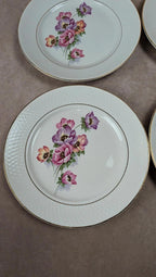 Lot de 6 assiettes plates Trieste – Moulin des Loups