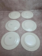 Lot de 12 assiettes plates anciennes Salins “petit Trianon” terre de fer bleu 💙