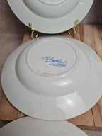Lot de 9 assiettes creuses anciennes Saint-amand & Hamage modèle Jardinière 🌿